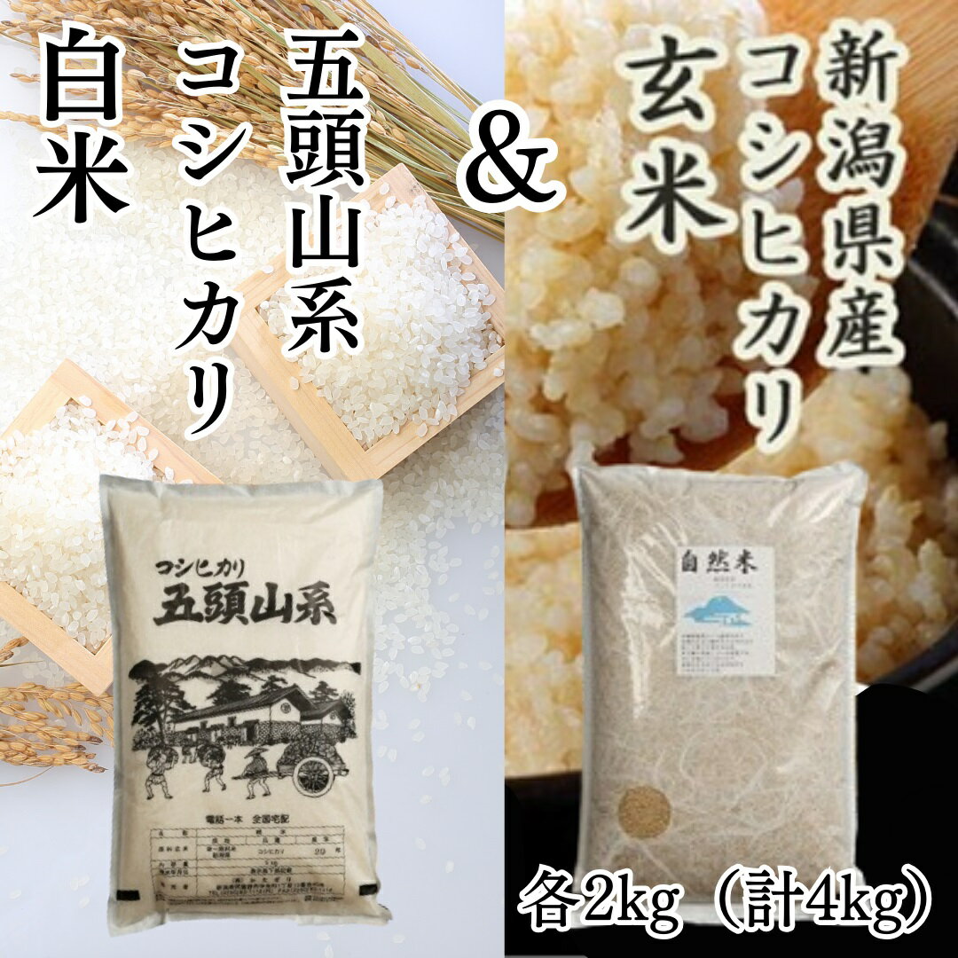 【ふるさと納税】 【令和7年産】「米屋のこだわり阿賀野市産」 コシヒカリ 玄米 ＆ 白米 各2kg 計4kg セット 新潟県 阿賀野市 五頭山系 米 かたぎり