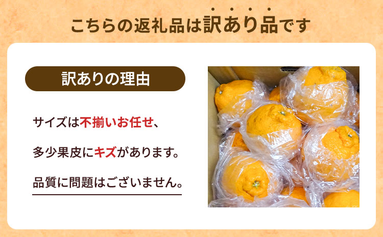 【先行予約】  訳あり 不知火 でこ姫 約5kg（約18〜25玉）【吉田レモニー】【2026年2月中旬〜2026年5月下旬発送】オレンジ ミカン わけあり 傷 キズ 甘い 家庭用 自宅用 蜜柑 濃厚 