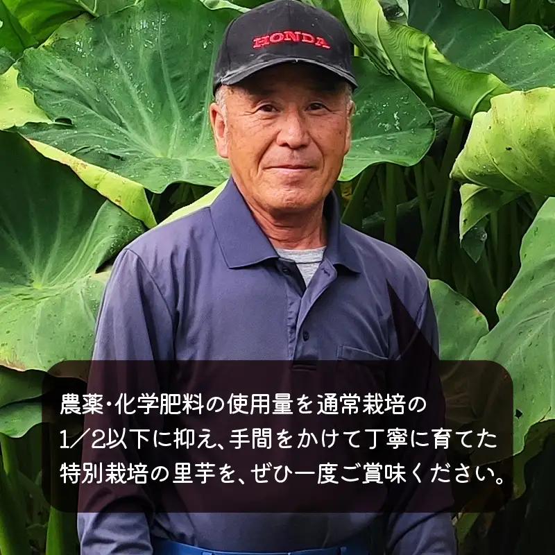 【先行予約】上庄さといも 洗い子 2kg（500g × 4袋）【冷蔵】【10月中旬より順次発送】減農薬・減化学肥料の特別栽培里芋 農家直送 煮物に便利な小さめサイズ