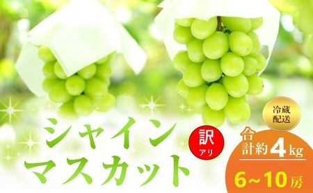 シャインマスカット 訳あり 岡山県産 シャインマスカット【約4kg 6〜10房】【冷蔵】【先行予約】