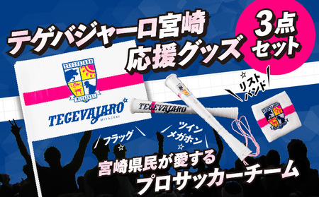 テゲバジャーロ宮崎　応援グッズ3点セット テゲバ 応援 グッズ