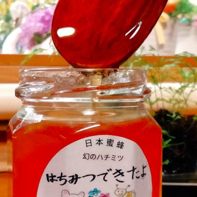 ふるさと納税 丹波篠山市 日本蜜蜂の非加熱、天然生ハチミツ |  | 01