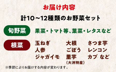 【野菜セット】旬野菜×根菜 詰め合わせ（10-12種）[AGBX012]