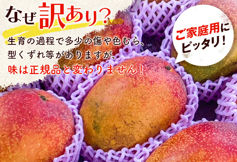 宮崎特産品　「訳あり」宮崎県産完熟マンゴー1.5kg（3玉～5玉）