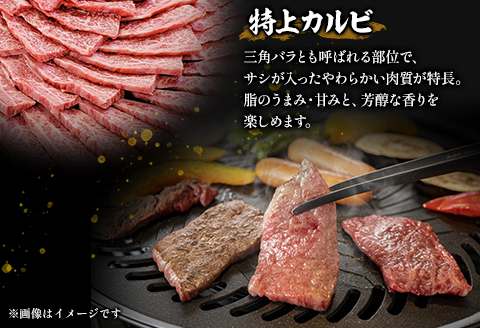 宮崎牛 特上カルビ (三角バラ) 焼肉用 150g×4パック 合計600g |牛肉 牛 肉 特上 カルビ 焼肉 三角 バラ