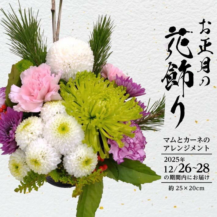 【ふるさと納税】お正月の花飾り マムとカーネのアレンジメント2026 2025年12月26日～12月28日にお届け ※着日指定不可 生花 フラワーアレンジメント 正月 新年 迎春 グリーンマム 白菊 カーネーション 松 寒竹 千両 植物 室内 屋内 玄関 床の間 インテリア