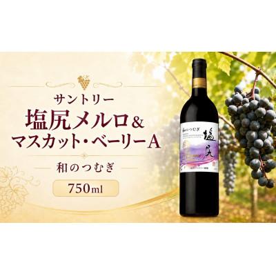 ふるさと納税 塩尻市 サントリー 塩尻メルロ&amp;マスカット・ベーリーA 和のつむぎ　750ml