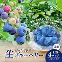 【ふるさと納税】愛媛県砥部町産とれたて新鮮でお届け！生ブルーベリーおためしサイズ110g×4パック　【期間限定～7/15まで】 冷蔵 甘い アントシアニン デザート フルーツ ヨーグルト スムージー 生 まるごと おやつ 今が旬　砥部町　お届け：2024年6月20日から7月25日まで