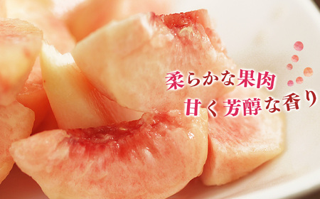 桃 （ 大玉 ）約 2kg 箱 （ 6個 ）｜フルーツ 果物 くだもの もも モモ ピーチ 奈良県 五條市 果実 果汁 熟成 おいしい 甘い こだわり 大容量 大きい 送料無料 農家直送 産地直送 お