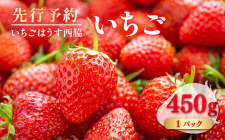 【先行予約】【数量限定100セット】　いちご　1パック 約450g　【いちごはうす西脇】[AKHO001]