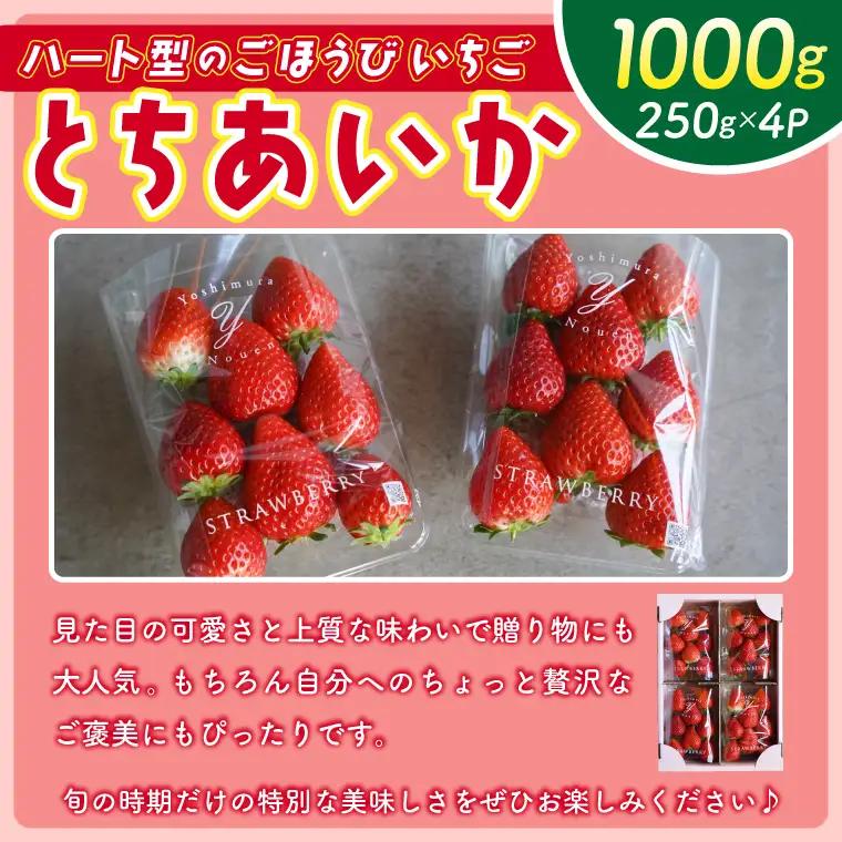 とちあいか 250ｇ×4パック 益子町 DS001