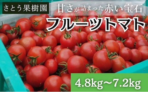 
										
										トマト フルーツトマト 4.8kg～7.2kg 4箱 フルティカ 藤沢市 野菜 とまと ミニトマト ハウス栽培
									