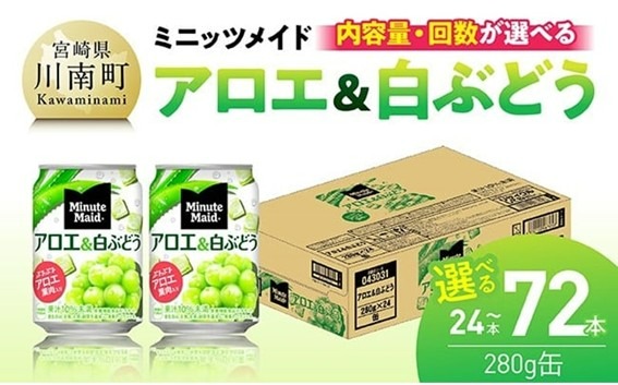 ※内容量と回数が選べる※コカ・コーラ ミニッツメイド「アロエ&白ぶどう」280g缶 【 飲料 アロエ 白ぶどう 果汁 長期保存 定期便 】 [C11131 C11132 C11133 C11131t3 C11132t3 C11133t3]