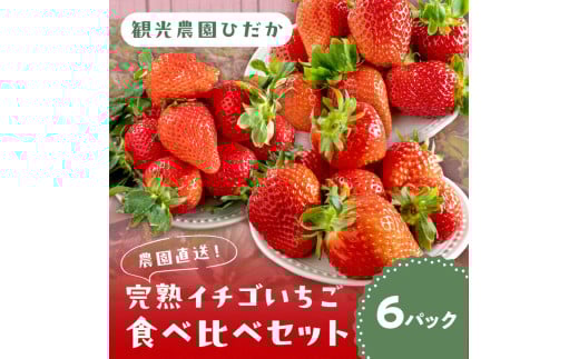 【1225】農園直送！完熟イチゴ食べ比べセット　2種　6パック【配送不可地域：北海道・沖縄・離島】