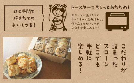 星子スコーン 行列ができる スコーン 詰め合わせ 3種 6個
