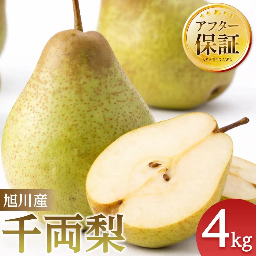 【先行予約】旭川産千両梨4kg(2026年10月中旬発送開始) 梨 _05721