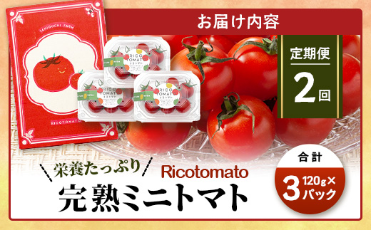 【2回定期便】【先行受付】2027年1月より順次発送予定【少量パック】完熟ミニトマト 360g (120gx3p) 野菜 農家直送 佐賀県鹿島市 たにぐちファームRicotomato～とりこになるトマト～C-148