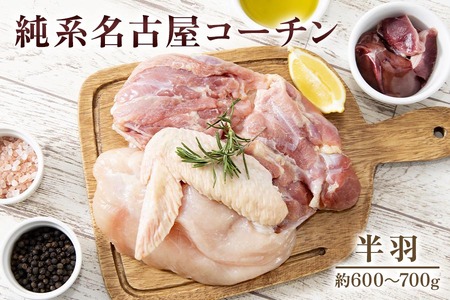 純系名古屋コーチン (半羽)｜コーチン 鶏肉 鳥肉 とり肉 塊肉 【0871】