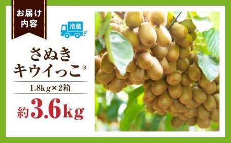 キウイフルーツ(さぬきキウイっこR)　1.8kg×2箱_mk165-009