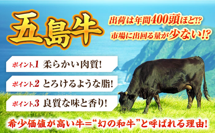 五島牛ヒレ 250g×2枚 牛肉 国産 希少 BBQ 牛肉 牛 ヒレ肉 五島市/ごとう農業協同組合 [PAF032]