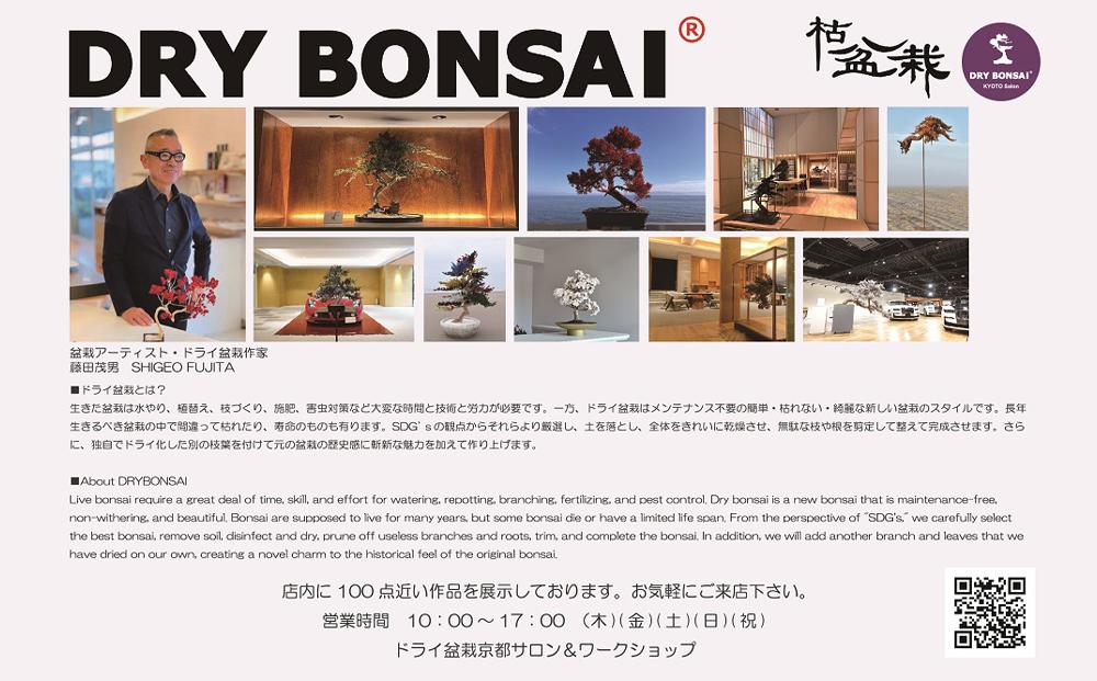 【ドライ盆栽】ギフト券 15,000円分（ワークショップ・作品購入に使用可能）