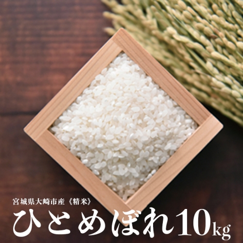 (08010)《精米》宮城県大崎市産 特別栽培米 ひとめぼれ10kg【2023年産】