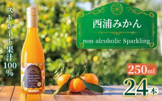 【先行予約_1月中旬発送】西浦 みかん スパークリング ジュース ストレート 果汁 100％ 250ml×24本 蜜柑 飲み物 ミカン 人気 贈答用 静岡 沼津