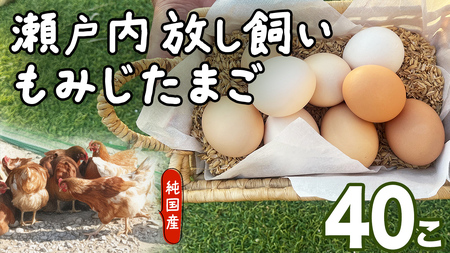 大崎上島産 もみじの 卵 40個 ( 36個+割れ保障4個 )