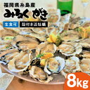 【ふるさと納税】みるくがき 8kg ◆生食可 殻付き 活牡蠣 ≪糸島≫【豊久丸】ブランド/カキ/牡蛎[AEJ007] 35000円