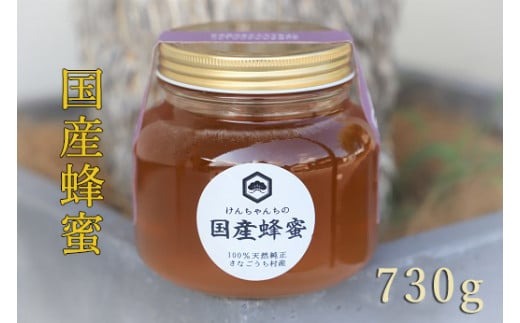 けんちゃんちのはちみつ（730g）大《30日以内に出荷予定（土日祝除く）》---tsm_mkf4_30d_25_12500_730g---