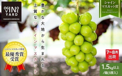 【2026先行予約_7月上旬～発送】山梨県産早期出荷シャインマスカット １．5ｋｇ以上／箱　３房入 ALPAK014｜おすすめ 人気 山梨県 産地直送 フルーツ 果物 くだもの ブドウ ぶどう シャイン マスカット くだもの 国産 葡萄 新鮮