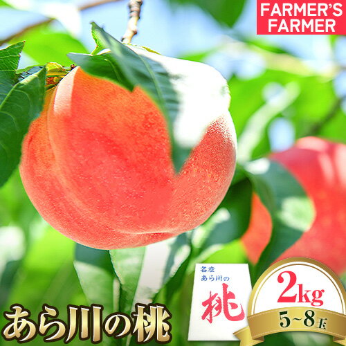 【ふるさと納税】【先行予約】 紀の川市産 あら川の桃 約2kg 5~8玉 FARMER'S FARMER《2026年7月上旬-7月下旬頃出荷》 和歌山県 紀の川市 果物 フルーツ 桃 もも モモ 旬