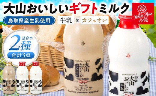 「大山おいしいギフトミルク」牛乳 カフェオレ詰め合わせ 2種3本 鳥取県産生乳使用【珈琲 コーヒー カフェオレ キリマンジャロ 特選 特選牛乳 美味しい おいしい セット 人気 おすすめ 鳥取県 琴浦町 送料無料】