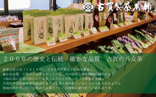 日本茶の名産地 「八女」からお届け ２０２３年新茶が届く 八女茶定期便【全３回】