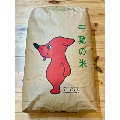 ふるさと納税 茂原市 新米 令和7年産 千葉県茂原市産「コシヒカリ100%」 玄米30kg
