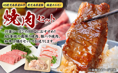 【 期間限定 生活応援 】【 A5和牛 ・ 豚 ・ ホルモン 】焼肉セット900g K002-055 豚肉 豚バラ 牛肉 黒毛和牛