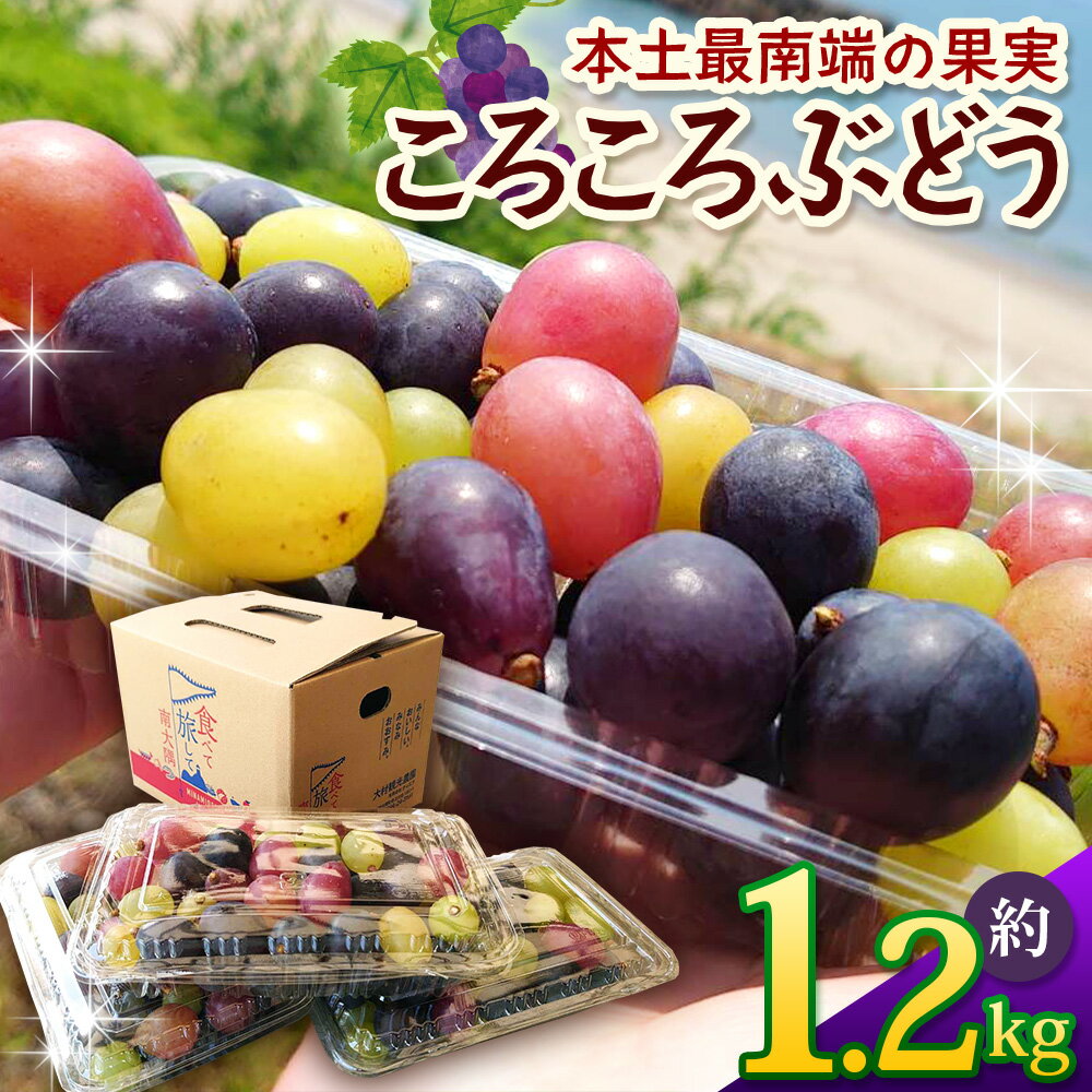 【ふるさと納税】【先行予約】＜訳アリ＞ 本土最南端 ぶどう　ころころぶどうパック 約1.2kg ｜訳あり 家庭用 産地直送 旬 ブドウ 葡萄 ぶどう フルーツ 果物 くだもの ≪2025年8月より順次発送≫（BB707）