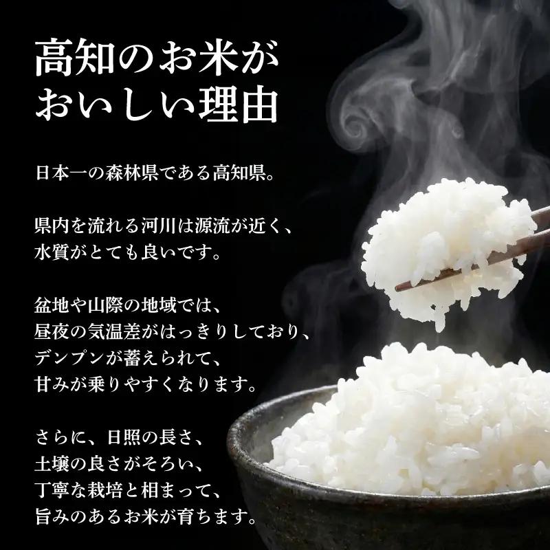 お米 コシヒカリ 15kg 新米 お米