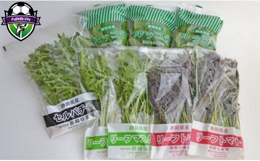 国産 ハーブ 野菜 詰め合わせ 約 450g 4種 8袋 セット ルッコラ 約 50g × 3袋 リーフトマト 赤からし菜 約 50g × 2袋 リーフマスタード からし菜 約 50g × 2袋 セルバチコ 約 100g × 1袋 水菜 サラダ 新鮮 産地直送 農家直送 イタリアン フレンチ 洋食 静岡県 藤枝市