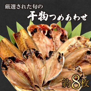 ひもの 詰め合わせ セット 約8枚 旬の干物 ひもの