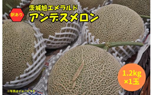 【訳あり】アンデスメロン 1玉（1.2kg×1）茨城旭エメラルド