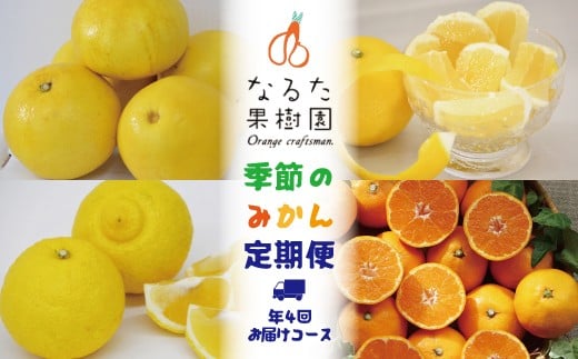 
            なるた果樹園季節のみかん定期便（年4回お届けコース）
          
