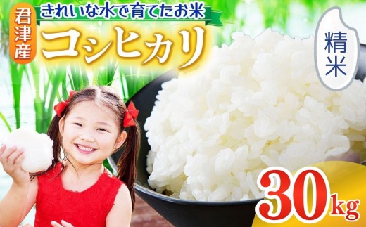 精米 令和7年産 コシヒカリ 30kg 精米 きれいな水で育てたお米 2週間以内に発送 | 保坂農場 名水 おいしい水 ちばエコ農産物 おにぎり お弁当 君津市産 イチオシ 千葉 君津市 きみつ 房総