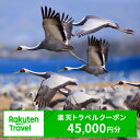 【ふるさと納税】鹿児島県出水市の対象施設で使える楽天トラベルクーポン 寄附額150,000円 観光地応援 温泉 観光 旅行 ホテル 旅館 クーポン チケット 予約 鹿児島県 出水市