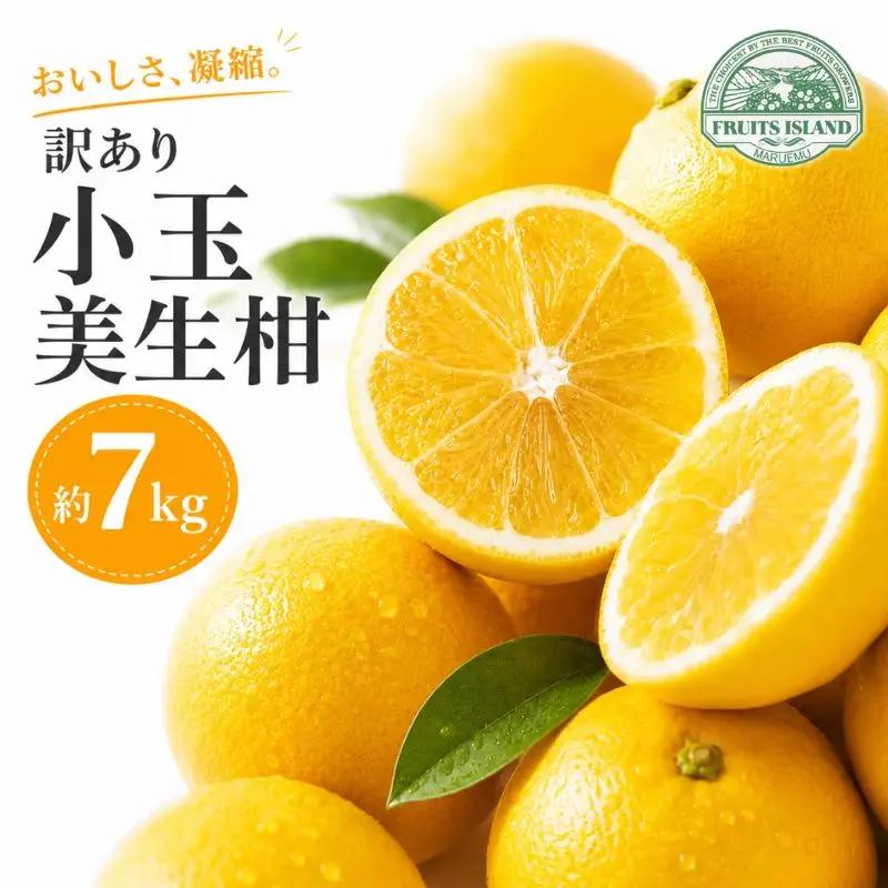 訳あり 小玉 美生柑 約7kg 河内晩柑 かわちばんかん 柑橘 愛媛 愛南 マルエム直販