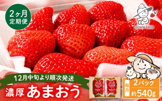 【2回定期便】【2026年12月から発送】ココロファームの濃厚あまおう 540g（270g×2パック）《豊前市》【ココロファーム】[VAE033] 果物 苺 イチゴ あまおう アマオウ 定期 福岡 フルーツ いちご 先行予約 定期便
