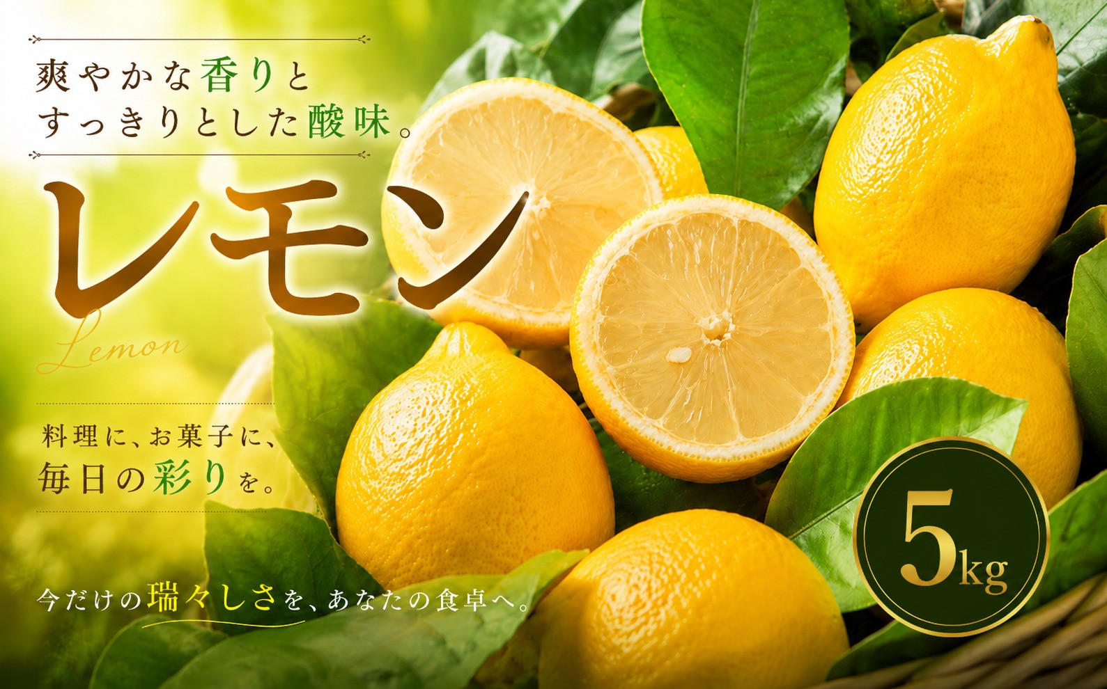 
                  【選び抜いた一箱】 香り際立つ 【レモン】 5kg 愛媛県産 【2027年1月中旬頃から順次発送】 | れもん レモン lemon 檸檬 訳あり フルーツ 柑橘 果物 おすすめ お勧め お取り寄せ ギフト 愛媛県 松山市
                
