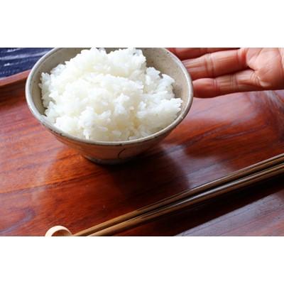 ふるさと納税 赤平市 【先行予約 令和7年産】ほりぐち農園直送のお米　精米したてゆめぴりか　5kg |  | 02