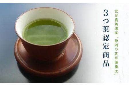 最高級煎茶 茶師の誉 100g×3袋 （新茶 ･ 令和7年5月下旬より発送 ② 令和6年度産 今すぐ発送 ） 大塚製茶 （※新茶受付あり） 1873