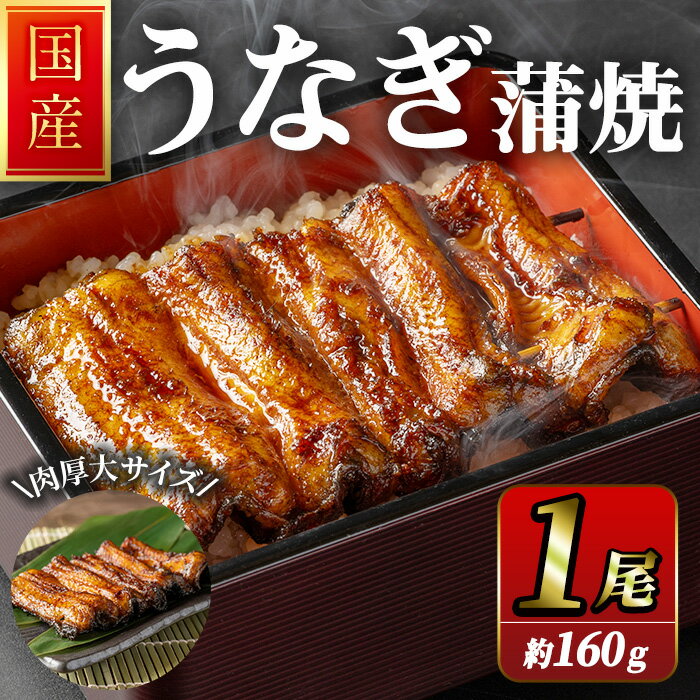 【ふるさと納税】職人手焼き 国産うなぎ蒲焼 約160g 肉厚 大サイズ 特大 鰻 ウナギ 蒲焼き 【逢隈亭】sh099